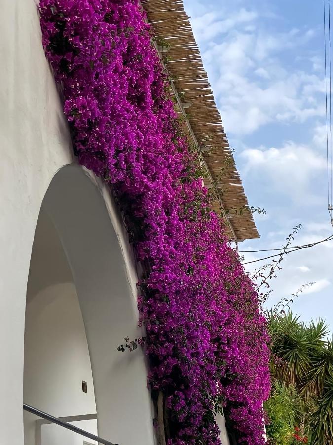 Roberhouse Tragara 37 Apartment Capri Exterior photo